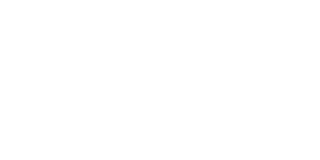 Ahorn AG