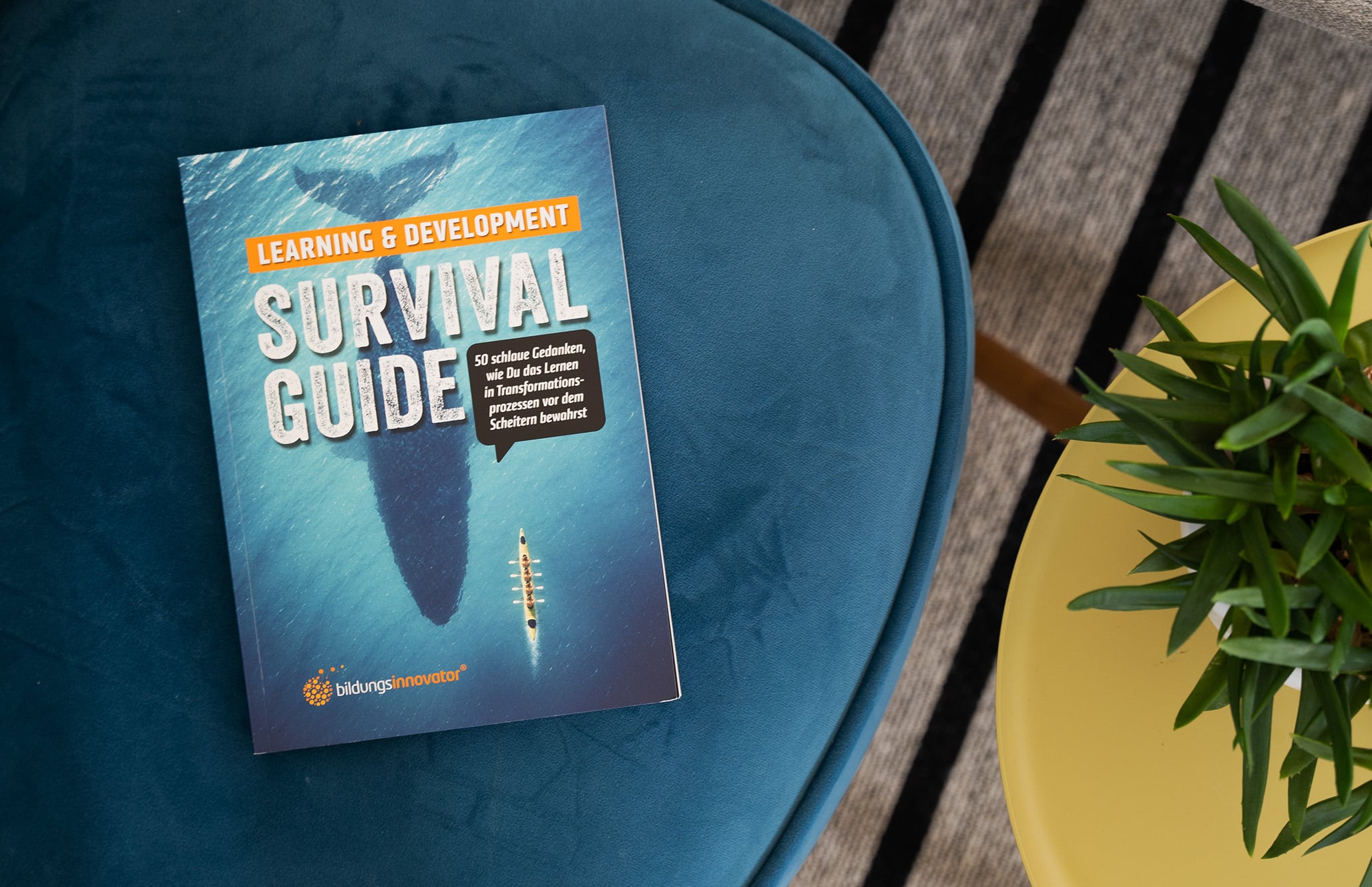 L&D Survival Guide