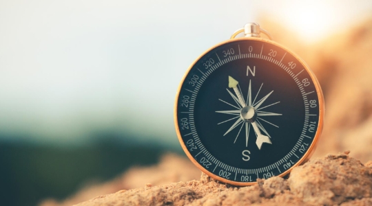 Learning Journey gestalten: So wird Lernen im Unternehmen wirklich wirksam