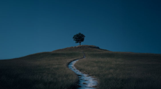 Wie erkenne ich, was mir wichtig ist?